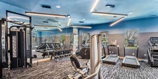 Collier Luxury Living Gallery 15