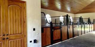 2583 Appaloosa Trail Gallery 3
