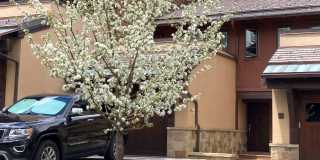 467 Snowmass Club Circle Gallery 19
