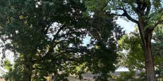 Beautiful 4 bedroom 3 bathroom home in Historic University Heights Subdivision Beautiful 4 bedroom 3 bathroom home in Historic University Heights Subdivision Gallery 1