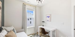 3024- Red Cardinal Lane Gallery 33
