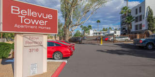 Bellevue Towers Gallery 2