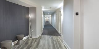 The Bexley Gallery 41