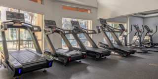 Marina 41 Gallery 36