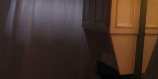 Pets Negotiable with Owner Approval! Gallery 17