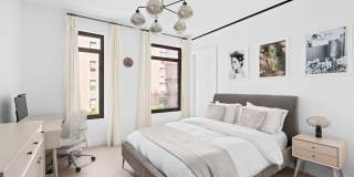 Dahlia Gallery 5
