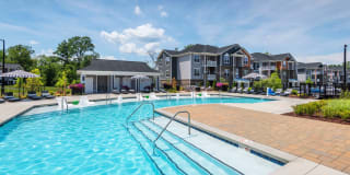 Walker Steele Creek Gallery 3