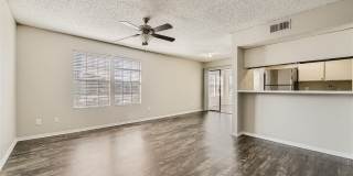 Rise Spring Pointe Gallery 151