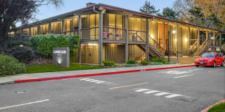Sunny Studio in Resort Setting on the Bay 15 minutes from SF Gallery 27