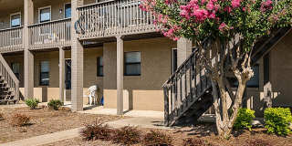 The Cove Apartment Homes Gallery 31