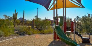 7228 West Tombstone Trail Gallery 45