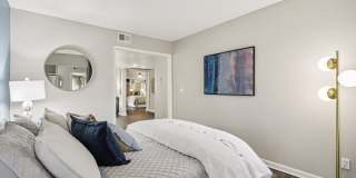 Vetra Chandler Gallery 36