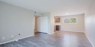 The Hideaway Gallery 5