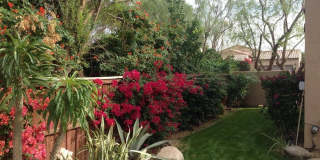 79760 Desert Willow Street Gallery 17