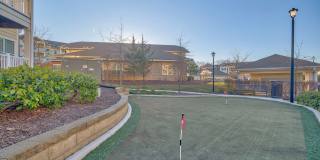 River Oaks Gallery 15
