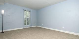 Bellevue Towers Gallery 75