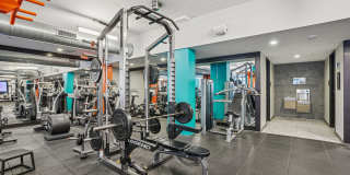 The Arnold Gallery 12