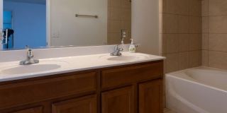 10736 Canyon Sage Drive Gallery 26