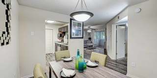 St. Johns Forest Gallery 4