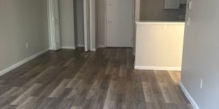 66 WEB LLC. Gallery 10