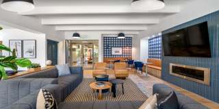 Vine at Panorama Gallery 28