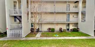 2625 State Road 590 Apt 1932 Gallery 1