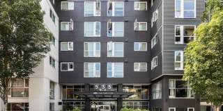 AMLI 535 AMLI 535 Gallery 40