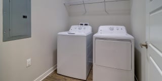 Nexus Brandon Gallery 86