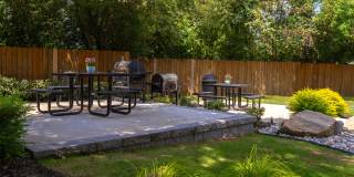 The Avenue Gallery 25