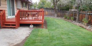 UNR friendly 3 Bedroom , 2 Bath close to campus Gallery 19