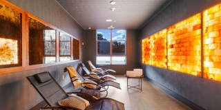 Canter Green Gallery 24