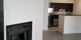 The Hedges Gallery 3