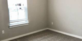 Spacious open floorplan with lots of light Gallery 26
