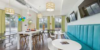 Trotters Park Gallery 12