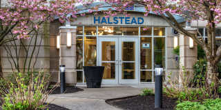 Halstead Burlington Gallery 27