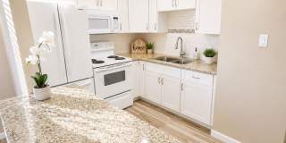 Charming 1-Bedroom Condo Near the Beach – 2501 Harn Blvd #H27, Clearwater, FL Gallery 6