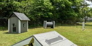 Forest Pine Apartments Gallery 6