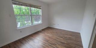 138 PERSIMMON STREET Gallery 30