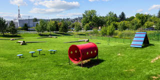 Pine Valley Ranch Gallery 15