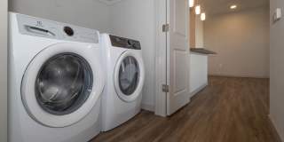 Savanna Nine Mile Gallery 64