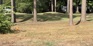 1630 Willow Cv Gallery 100