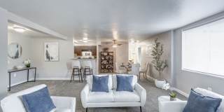 The Milano Gallery 2