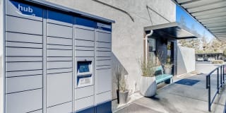 Larkspur Larkspur Gallery 19