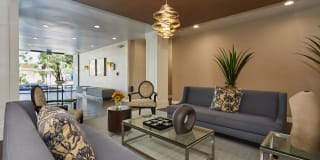 Beverly Arnaz Gallery 2