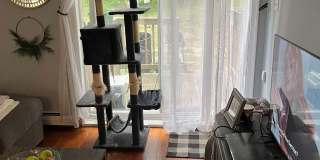 28 Shelburne Road Gallery 5