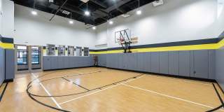 The Royal Bloomfield Gallery 29