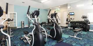 Addison at Cherry Creek Gallery 16