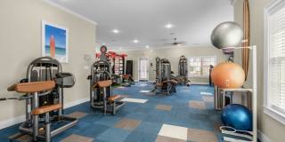 Terra Mar Gallery 31