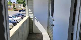 205 Berry Tree Pl
Brandon, FL 33510-4353-1 Gallery 20