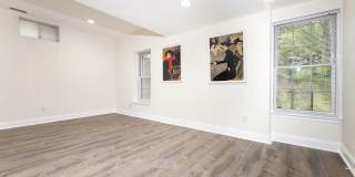 Beautiful and Spacious Lower Level Unit, Separate Entrance, Util. Included-Potomac, MD Gallery 3